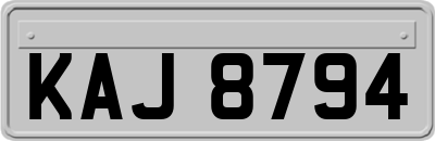 KAJ8794