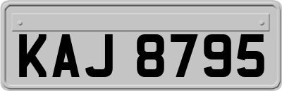 KAJ8795