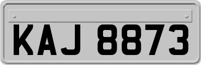 KAJ8873