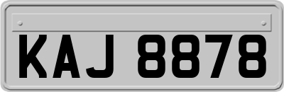 KAJ8878