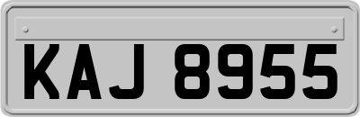 KAJ8955