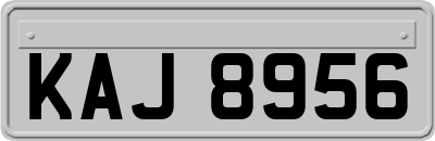 KAJ8956