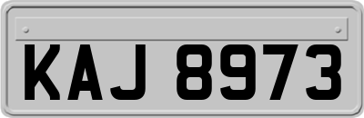 KAJ8973