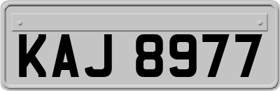 KAJ8977