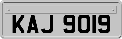 KAJ9019