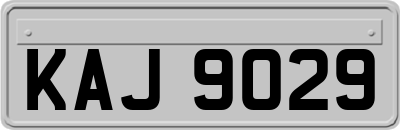 KAJ9029