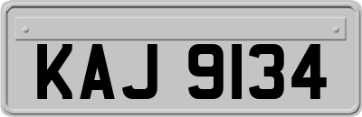 KAJ9134