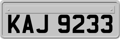 KAJ9233