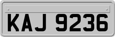 KAJ9236