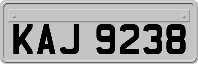 KAJ9238
