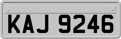 KAJ9246