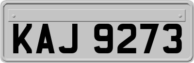 KAJ9273