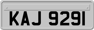 KAJ9291