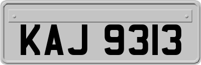 KAJ9313