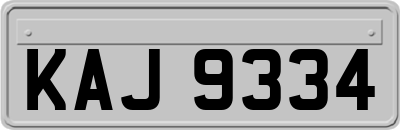 KAJ9334