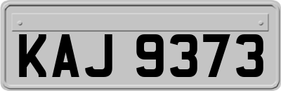 KAJ9373