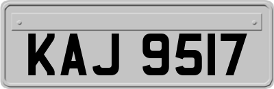 KAJ9517
