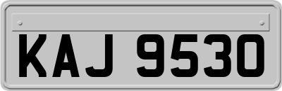 KAJ9530