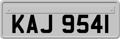 KAJ9541