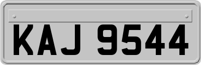 KAJ9544
