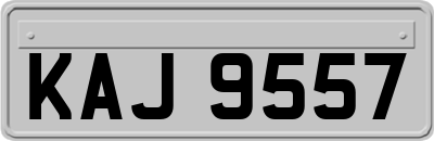 KAJ9557