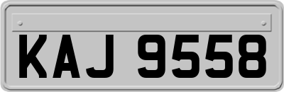 KAJ9558