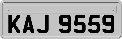 KAJ9559