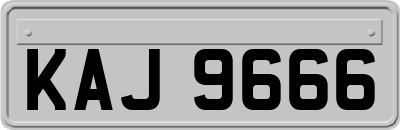 KAJ9666