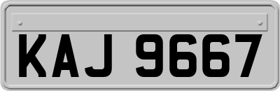 KAJ9667