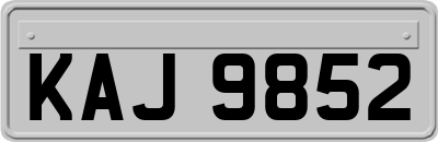 KAJ9852