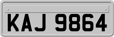 KAJ9864