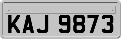 KAJ9873