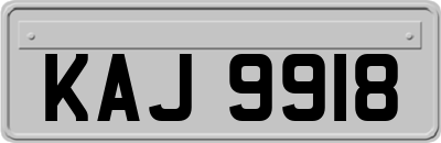 KAJ9918