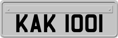 KAK1001