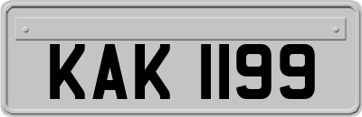 KAK1199