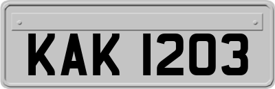 KAK1203