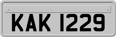 KAK1229