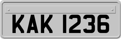 KAK1236