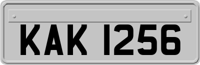 KAK1256