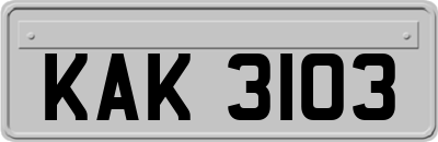 KAK3103