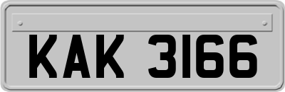 KAK3166