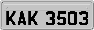 KAK3503