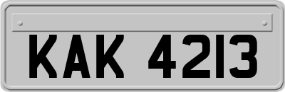 KAK4213