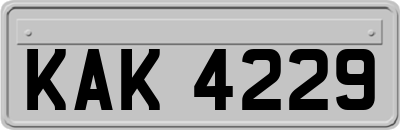 KAK4229