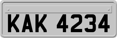 KAK4234