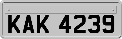 KAK4239