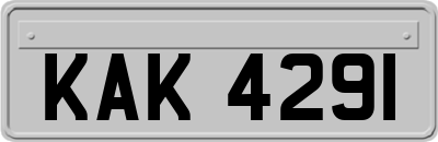 KAK4291