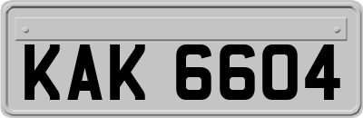 KAK6604