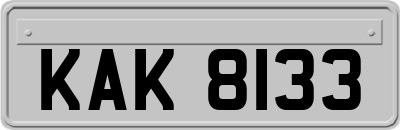 KAK8133