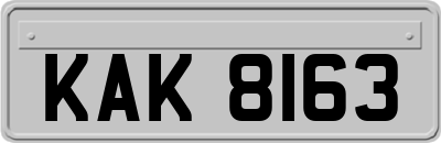 KAK8163